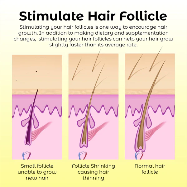 ATTDX Natural Hair Density Growth Essential Oil