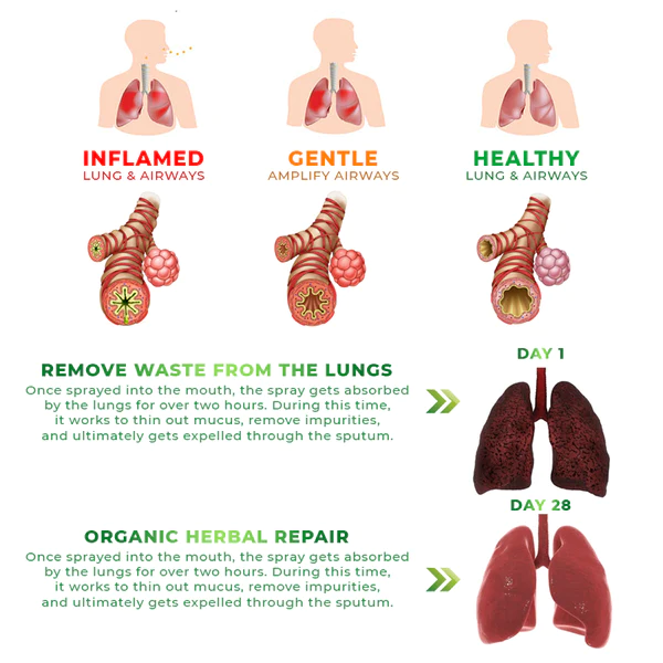 Biancat RespiAid Herbal Lung Cleansing Spray