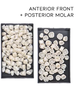 Alternative view of Oveallgo™ Zahnprovisorische Kronenveneers für die Abdeckung der vorderen/hinteren Backenzähne