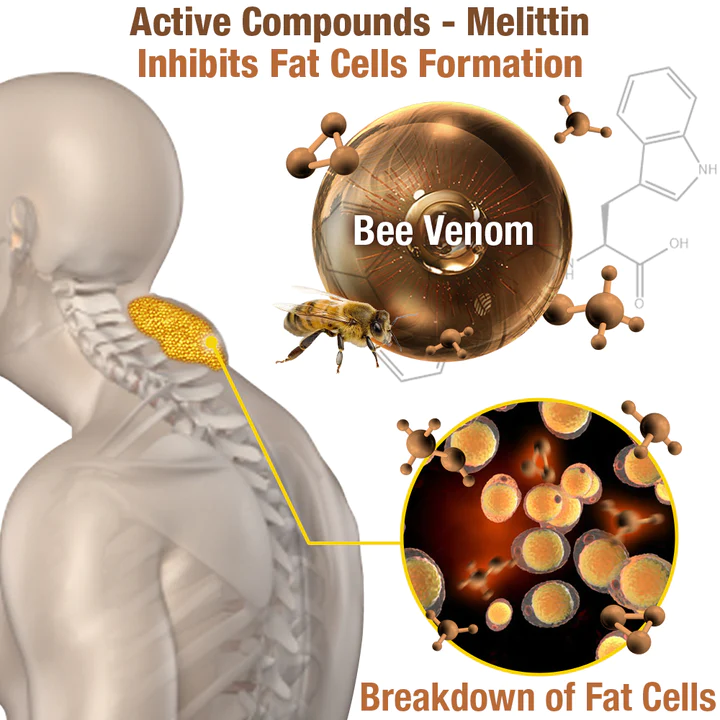 GFOUK™ HumpEase Bee Venom Smoothing Plaster - Image 7