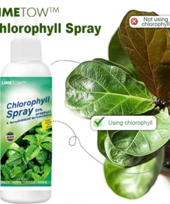 LIMETOW™ Chlorophyll Spray