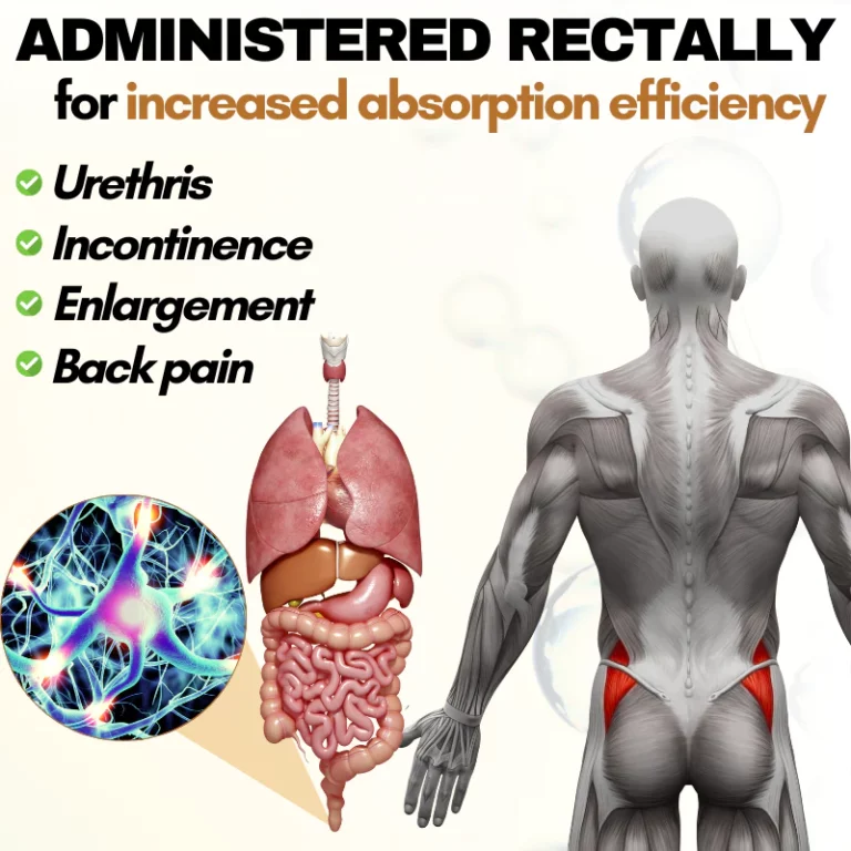 Nurbini™ Prostate Health Care Capsules - Image 4