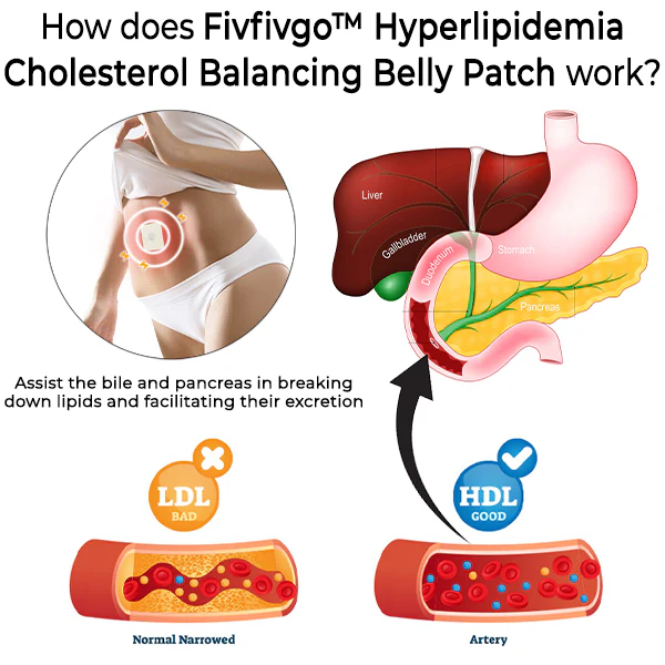 Fivfivgo™ Hyperlipidemia Cholesterol Balancing Belly Patch - Image 6