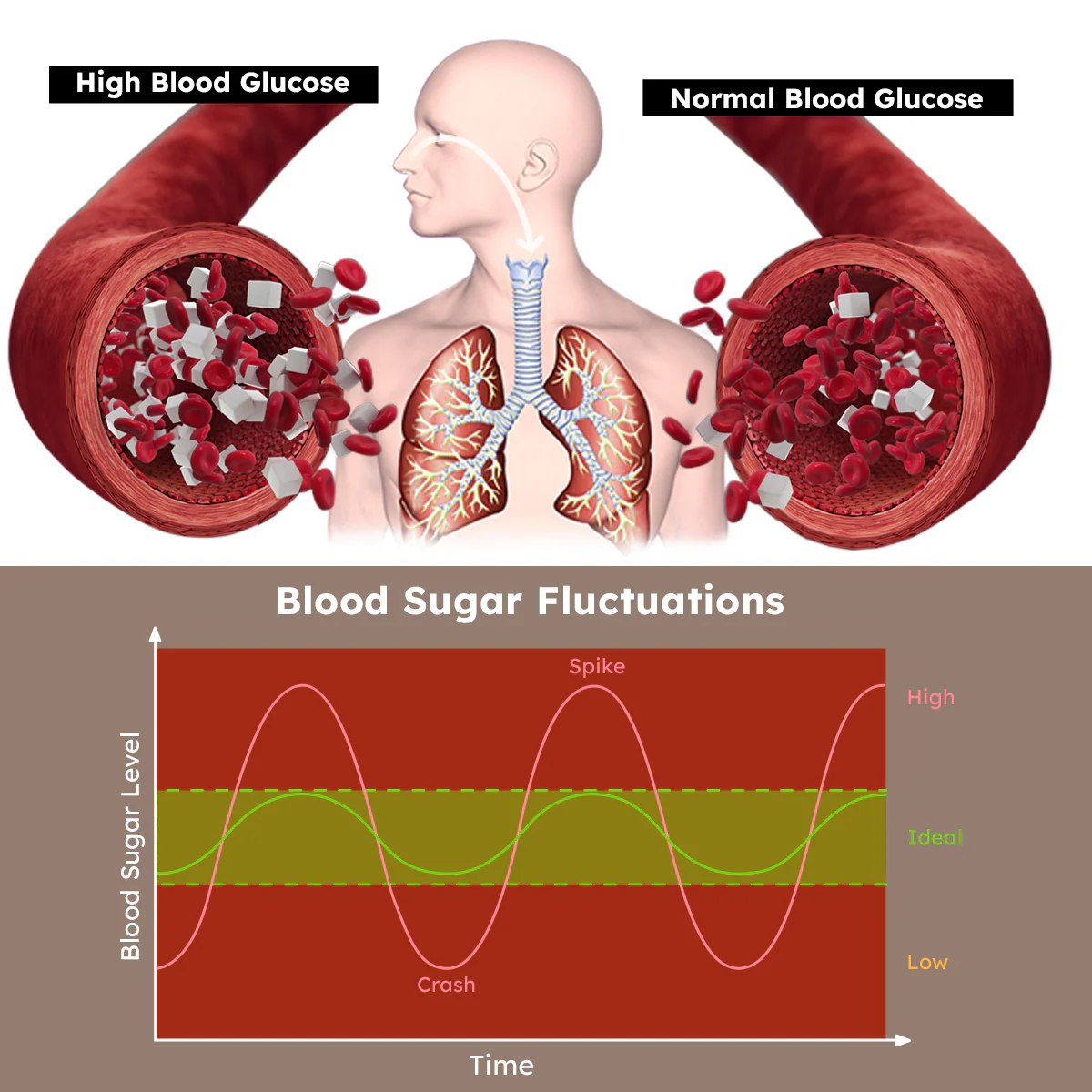 Dafeila™ GlucoSmart Blood Sugar Nasal Spray - Image 6