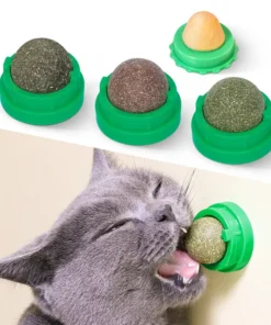 Catnip Ball Cat Toy