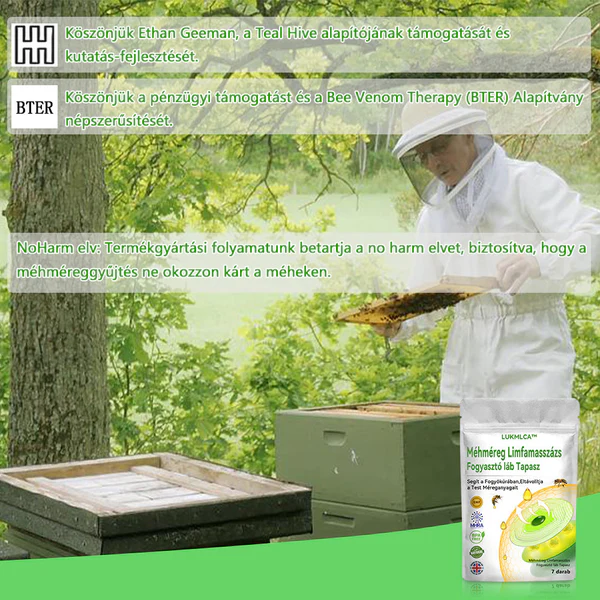 LUKMLCAM™ Méhméreg Nyirokméregtelenítő Karcsúsító Lábtapasz - Image 6