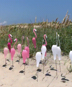 Florida tanzende Vögel Garten Metall Kunst