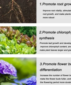 Alternative view of General purpose slow-release organic fertilizer for plants