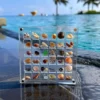 Acrylic Magnetic Seashell Display Box