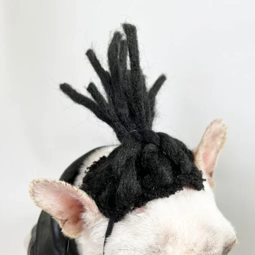 Abin dariya Pet Wig - Hoto 17
