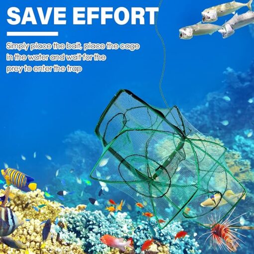 The Magic Foldable Fishing Trap - Image 2