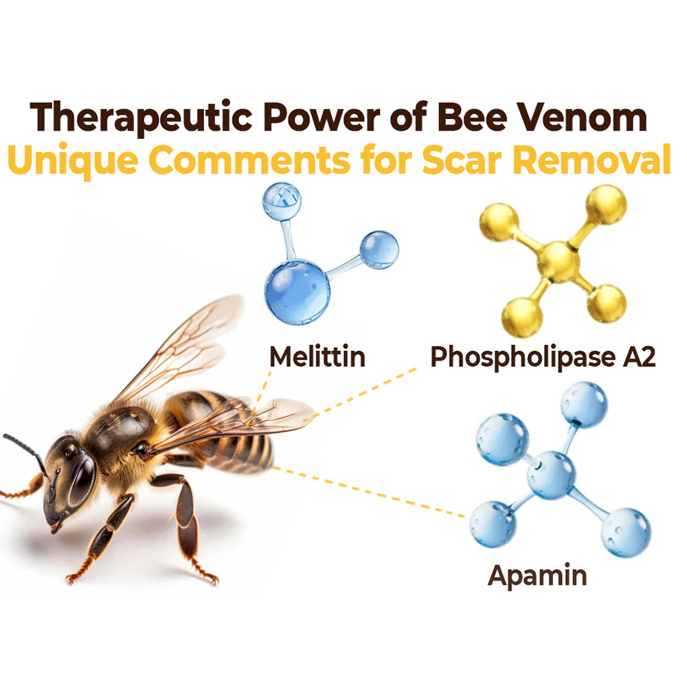 GFOUK ™ CicatrixCare Bee Venom Therapy Spray - Ìomhaigh 8