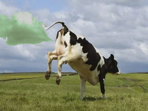 Oveallgo™ Cow Fart Exeema Elixir - Kuva 5