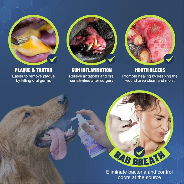 Hudros™ Teeth Cleaning Spray for Dogs & Cats - Image 3