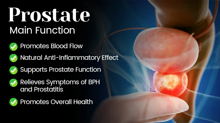 Ceoerty™ BeeFlowAir Dual-Function Nasal Inhaler naturally alleviates pain.