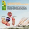 LOVILDS™ Royal Jelly MushroomVanish Foot Treatment Spray, the perfect choice for pain-free walking.