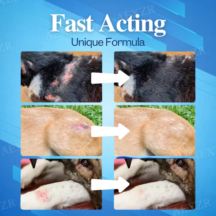 PawMed™ Wound Gel for Pets forms a protective layer, preventing infection and promoting fast healing.