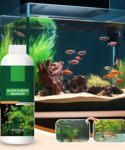 Algae & Moss Remover