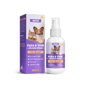 Студенттік кеште ренжіді Әзірбайжанда онлайн секс