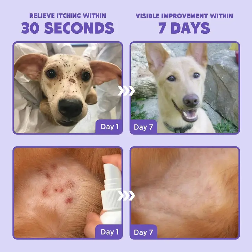 Қыз дымқылды сипайды