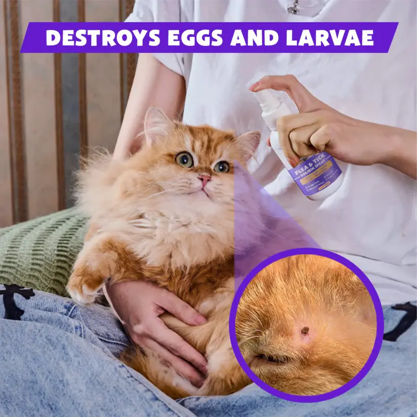 Mjm бірінші рет қалай болды