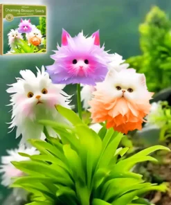 GFOUK® Cat's Eye Flower