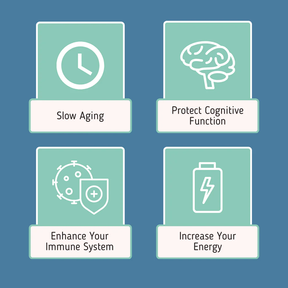 NAD+ Liposomal Anti Aging Supplement Complex AEON with Nicotinamide DUO™ - Image 3