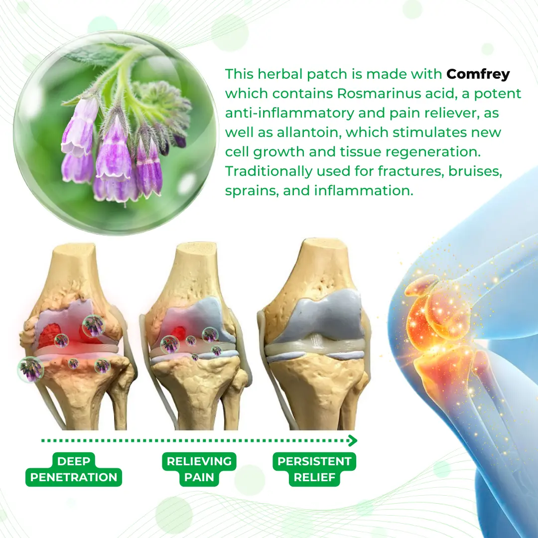 Bazenith™ HerbHaven Comfrey Relief Patch