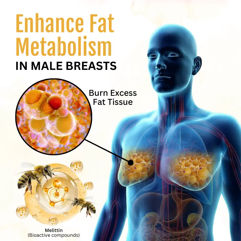 Bazenith™ThermoFirm Bee Secret Elixir Gynecomastia Oil