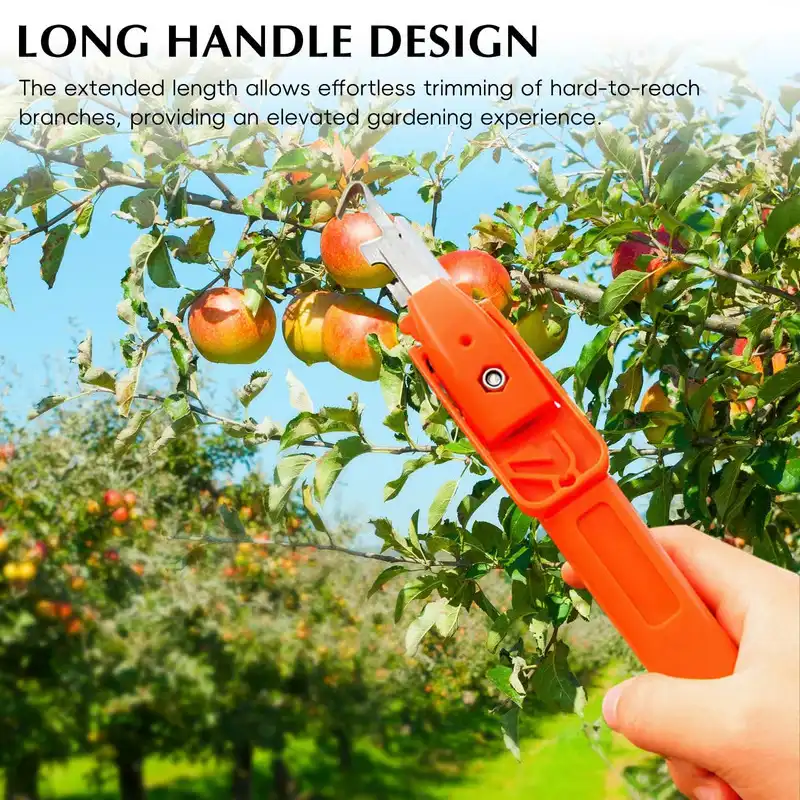 Long Reach Berry Picker Tool