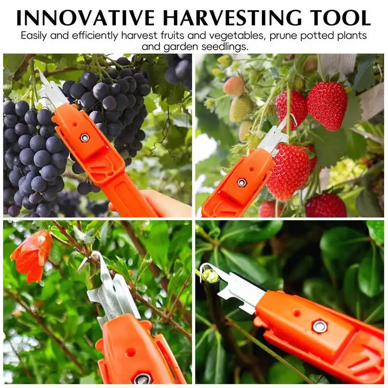 Long Reach Berry Picker Tool