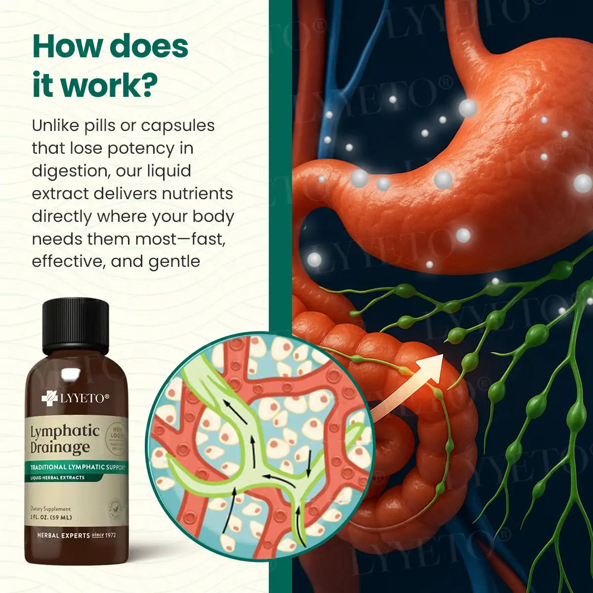 Lyyeto® Lymfahieronta nestemäisellä yrttiuutteella