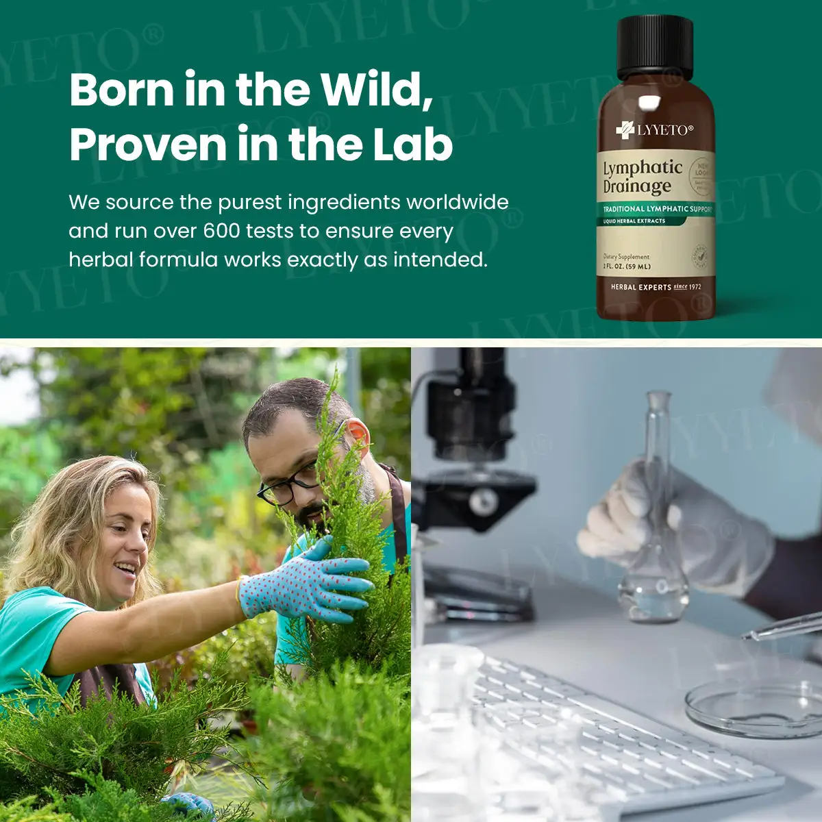 Lyyeto® Lymfahieronta nestemäisellä yrttiuutteella