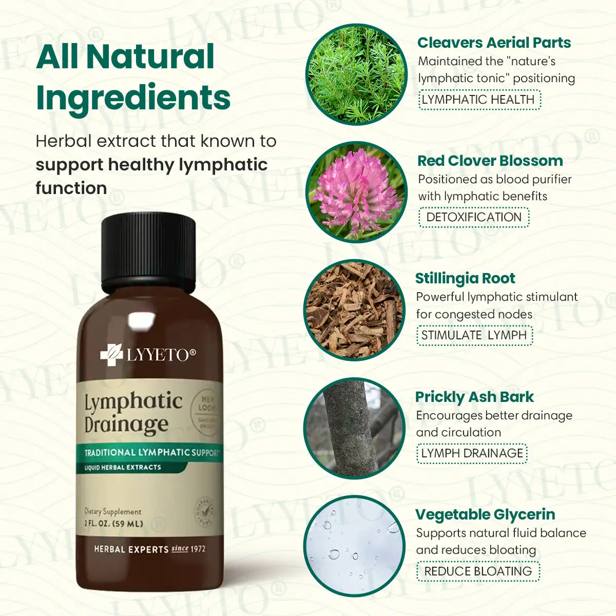 Lyyeto® Lymfahieronta nestemäisellä yrttiuutteella