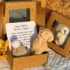 Mini Plush Bear Gift Box