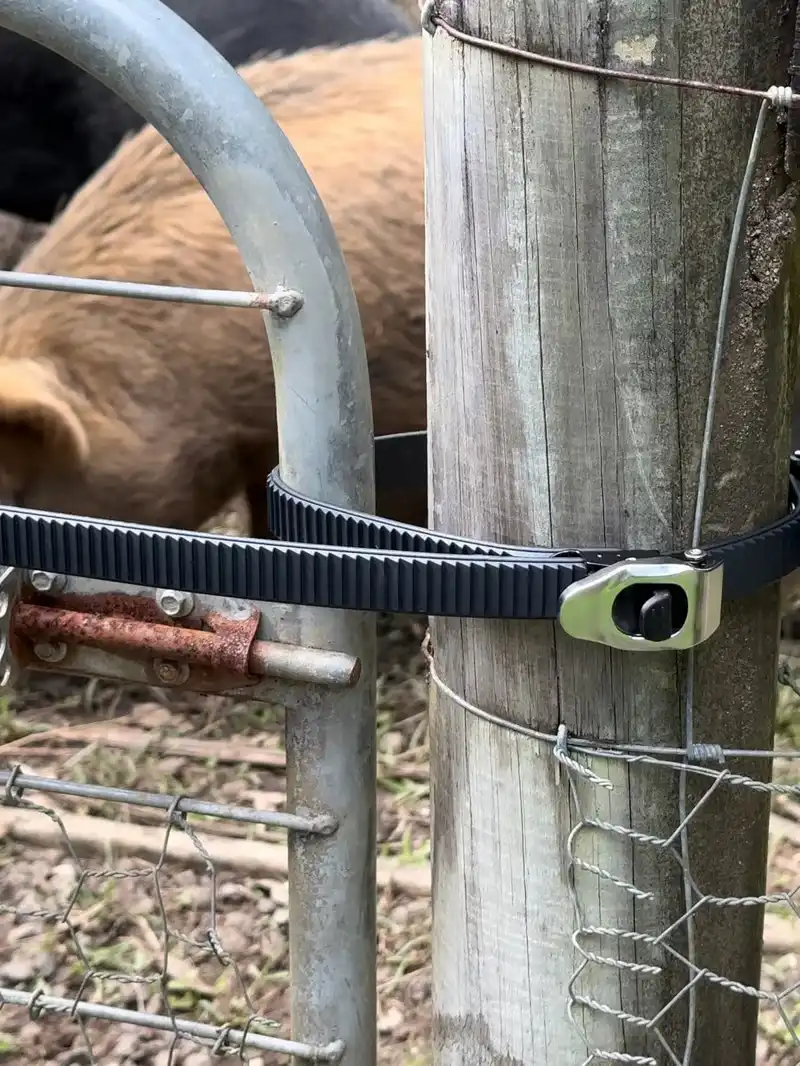 Heavy Duty Utility Gear Straps